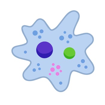 Amoeba cell. Small unicellular animal. Virus and bacteria. Education and science. Flat cartoon illustration vector