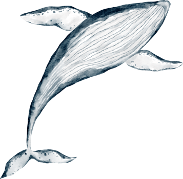 watercolor whale sea animal png