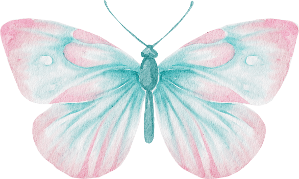 watercolor pink butterfly png