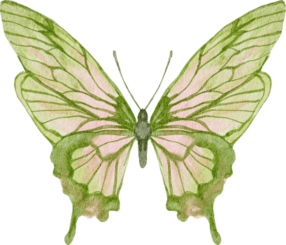 watercolor butterfly green png