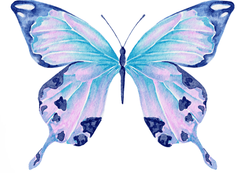 watercolor butterfly blue png
