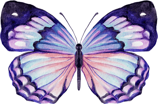 watercolor butterfly cute png