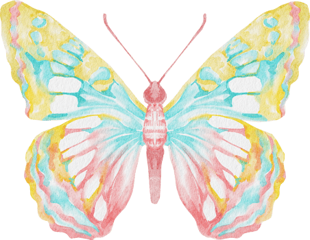 watercolor colorful butterfly png
