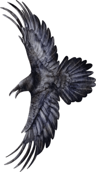 watercolor crow clip art png