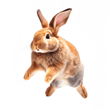 Realistic computer drawing of a rabbit. png