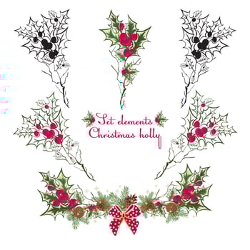 Set Hand drawing floral holly elements vector