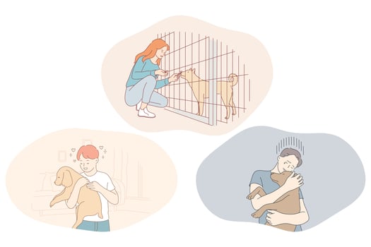 Adoption dogs from shelter, volunteering and helping pets concept. Young boys and girl feeding dogs in shelter cage, holding on hands, hugging and taking care of adopted puppies illustration vector