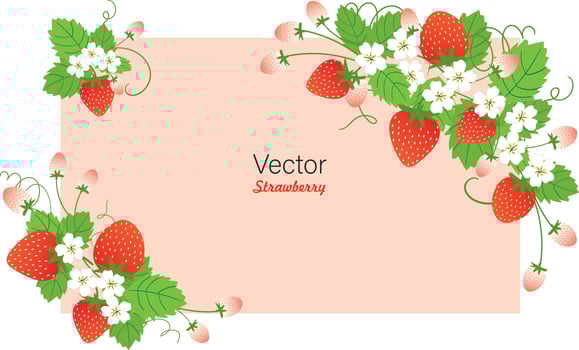 Set of Stawberry summer fruit vector