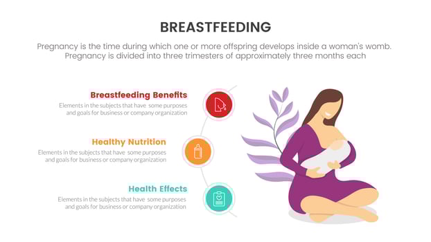 breastfeeding pregnant or pregnancy infographic concept for slide presentation with 3 point list vector