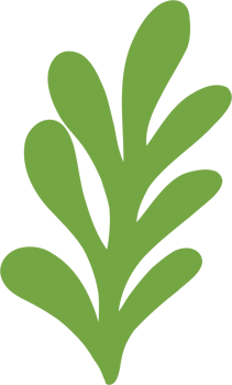 simplicity floral freehand drawing. png