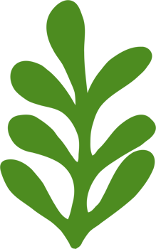 simplicity floral freehand drawing. png