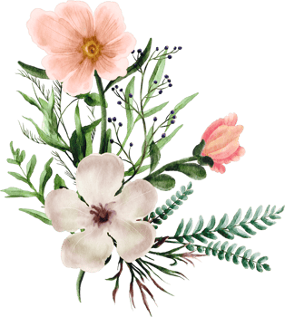 watercolor floral frame png