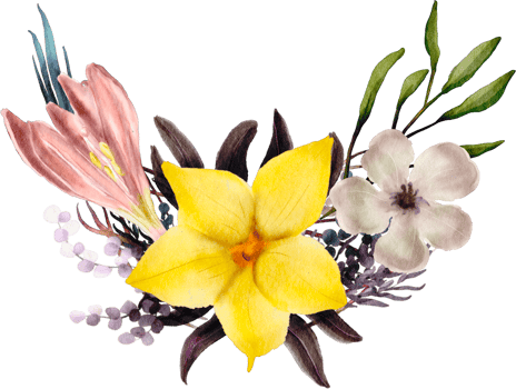 watercolor flora flower corner png