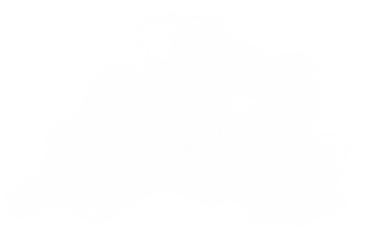 realistic white cloud isolated on transparent background. png