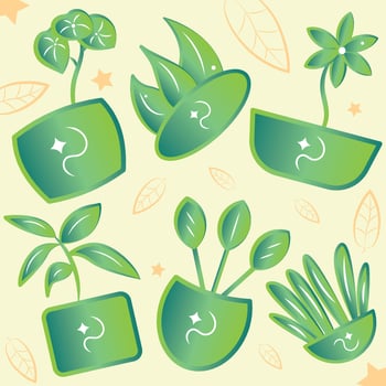 Pattern background with indoor plant icons Vector