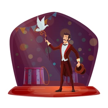 Magician or illusionist performing tricks vector
