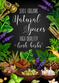 Spices, herbs and seasonings vector
