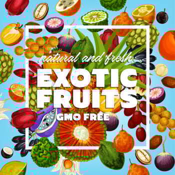 GMO free exotic fruits and berries vector