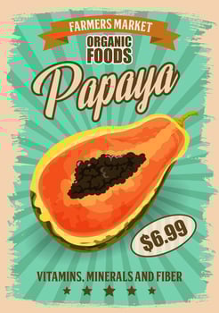 Papaya or pawpaw tropical fruit. Exotic food vector