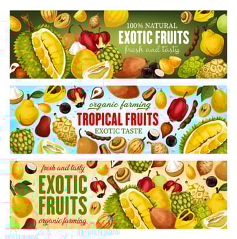 Exotic fruits and berries. Tropical food, drink vector