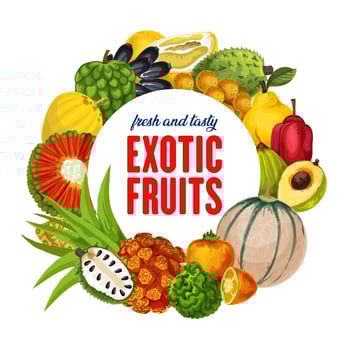 Exotic fruits, tropical citrus, cantaloupe harvest vector