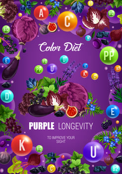 Color diet longevity purple healthy food nutrition vector