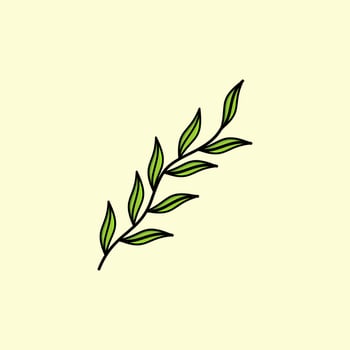 Ornament Leaf Illustration vector