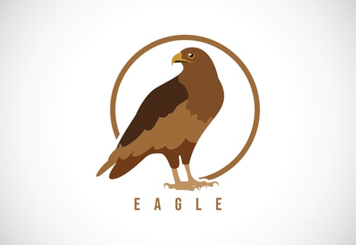 Eagle bird in a circle. Eagle bird logo design template vector illustration
