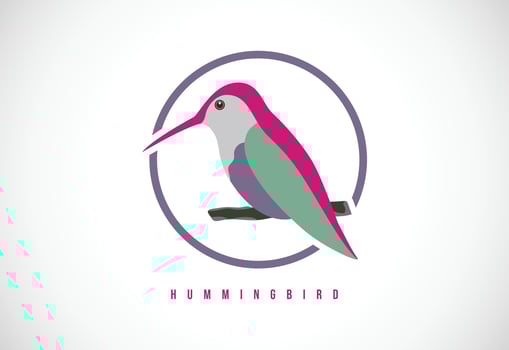 Hummingbird in a circle. Hummingbird logo design template vector illustration