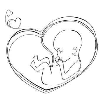 Baby in the womb heart shaped with umbilical cord Line drawing Logo,icon,tattoo,poster,print design template.Vector illustration Embryo in the womb liner drawing,black and white sketch vector