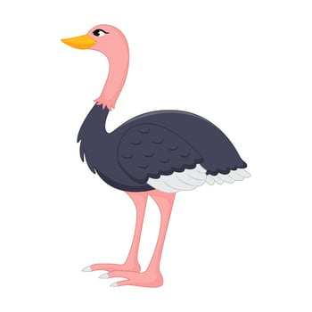 Animal illustration of flamingo vector