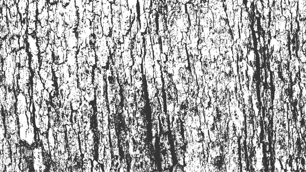 Isolated Tree Bark vector