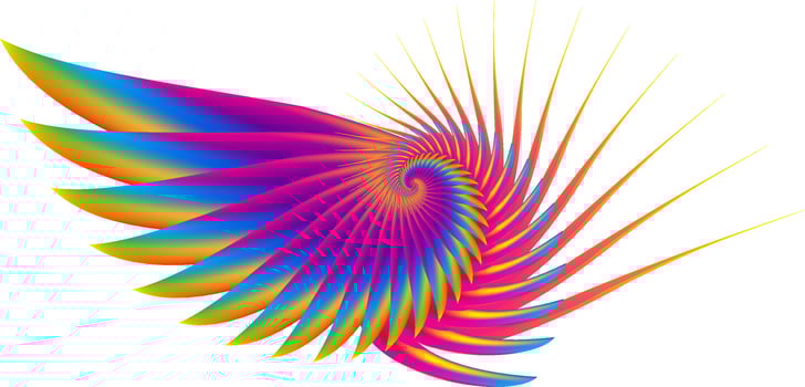 Illustration of Wings with colorful gradations with an Abstract concept vector