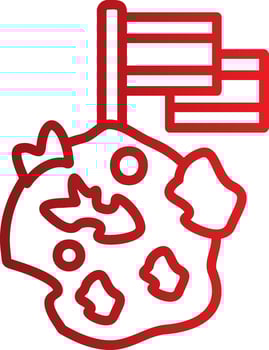 Flag Vector Icon