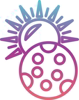 Moon and Sun Vector Icon