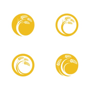 Agriculture wheat vector
