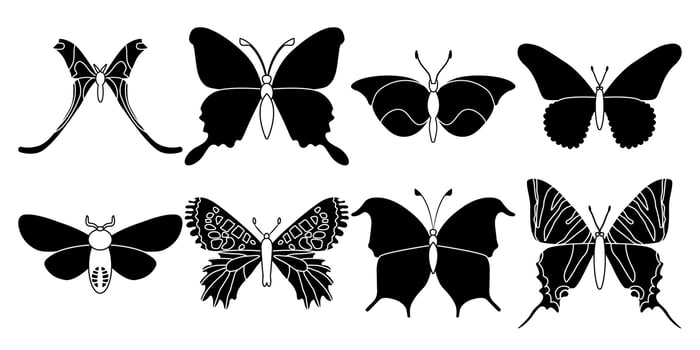 Vector set butterflies on a white background, drawing decorative insect, silhouettes hand draw, isolated vector