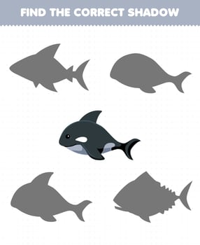 Education game for children find the correct shadow of cute cartoon orca printable underwater worksheet vector