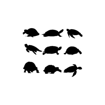 turtle sea silhouette set design vector