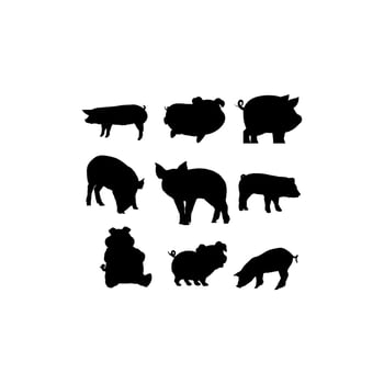 animal pig cute collection silhouette set design vector
