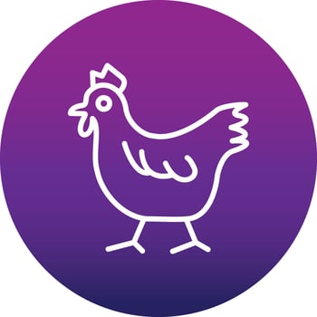 Poultry Vector Icon