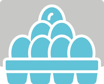 Egg Carton Vector Icon