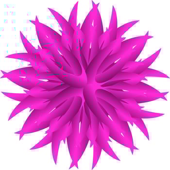 pink flower isolated on white vector