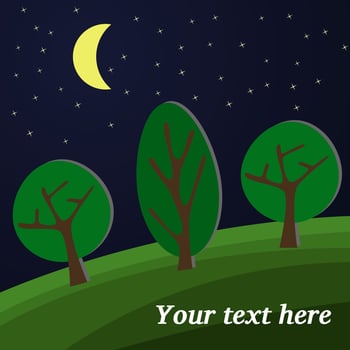 Edge of the Forest. The Moon Lihts on a Clearing in the Forest. vector