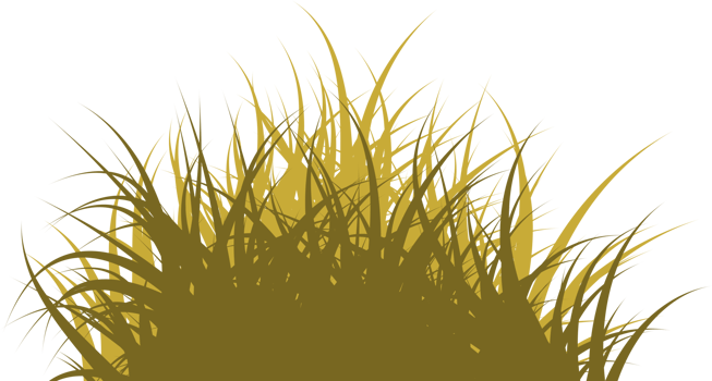 brown grass png