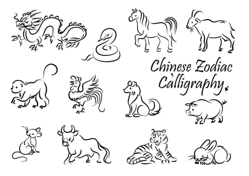 Chinese horoscope zodiac animal symbols vector