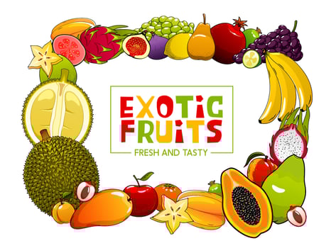 Summer food vector frame of exotic tropical fruits