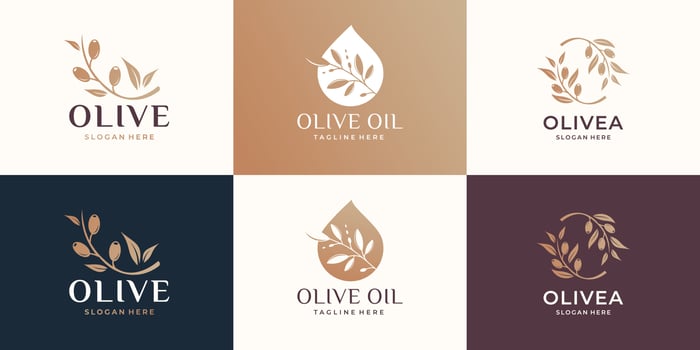 set of creative olive logo template. olive oil, essential olive oil, feminine beauty, fashion store. vector