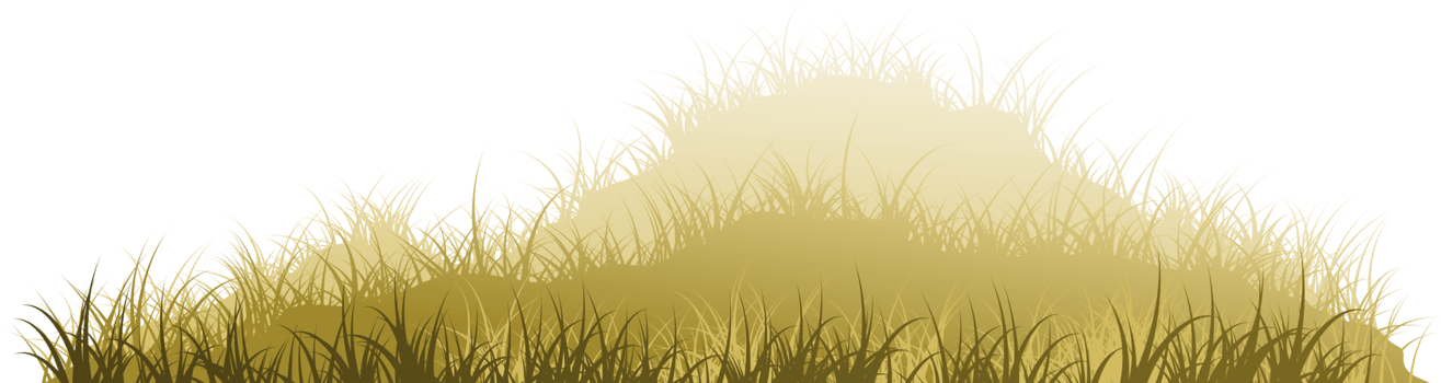 brown grass hill png