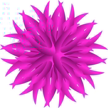 pink flower isolated on white vector